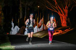 BIB: 5444
                            <button type="button" onclick="openModal(22510768)" class="btn btn-primary btn-sm float-right btn-popup" data-toggle="modal" data-target=".modal-high-quality">
                        <i class="fas fa-shopping-cart"></i> Add to Cart
                    </button>
                                            <button type="button" onclick="isThisMe(22510768, true)" class="btn btn-success btn-sm float-right btn-popup btn-isme hidden" data-toggle="tooltip" data-placement="bottom" title="นี่คือรูปของคุณใช่ไหม คลิกที่นี่เพื่อเอาเข้าอัลบั้ม">
                        <i class="fas fa-plus"></i> Add to album
                    </button>
                    <button type="button" onclick="isThisMe(22510768, false)" class="btn btn-warning btn-sm float-right btn-popup btn-isnotme hidden">
                        <i class="fas fa-ban"></i> Remove from album
                    </button>